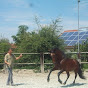 HJN-Reiten mit Hans-Jürgen Neuhauser