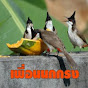 เพื่อนรักนกกรง Thailand Bird