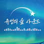 유성의 숲 사운드 Meteor forest sound