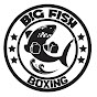 Big Fish Boxing