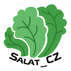 Salat_CZ
