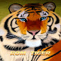 ROM TIGER