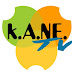 K.A.NE. TV