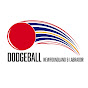 Dodgeball Newfoundland and Labrador