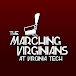 The Marching Virginians