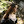 raineemery avatar