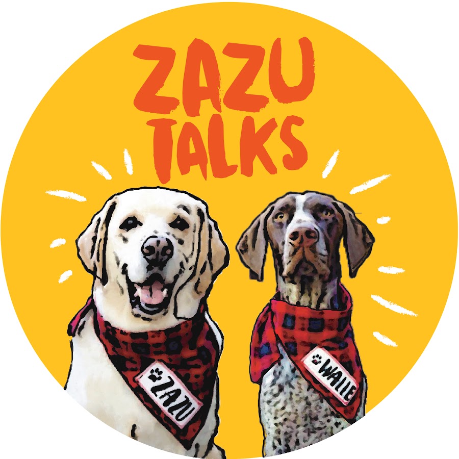 Zazu Talks @ZazuTalks