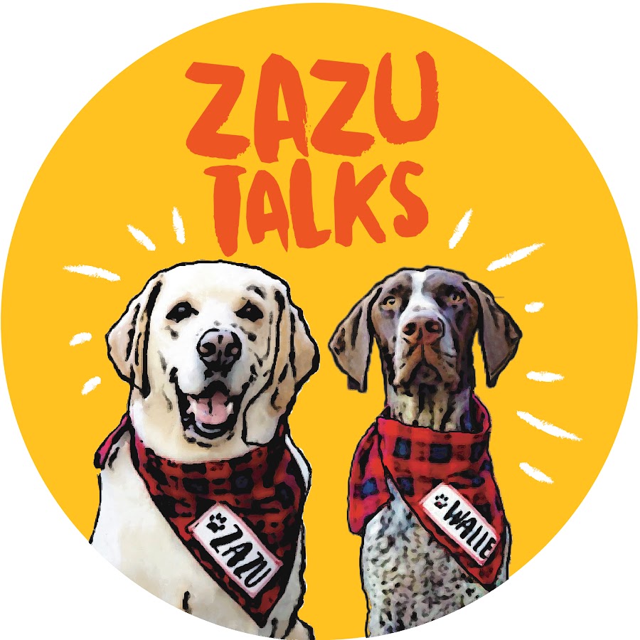 Zazu Talks @ZazuTalks