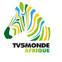 TV5MONDE Afrique