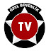 logo Özel Güvenlik TV