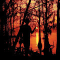 Artist Thumbnail
