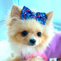 Maggie and Shanti youtube avatar