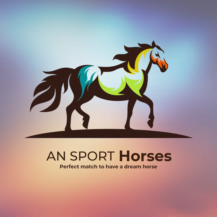 AN Sport horses