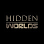 Hidden Worlds