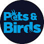 Pets & Birds