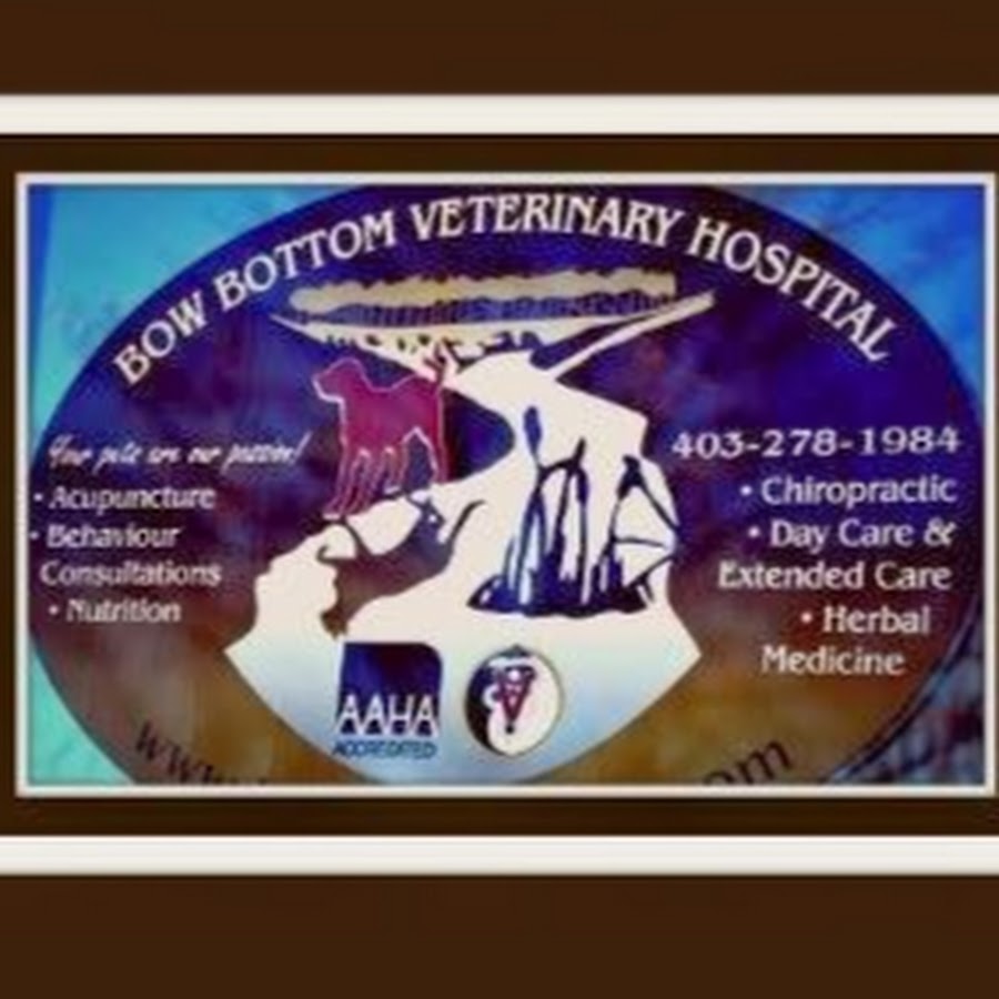 Bow Bottom Veterinary Hospital