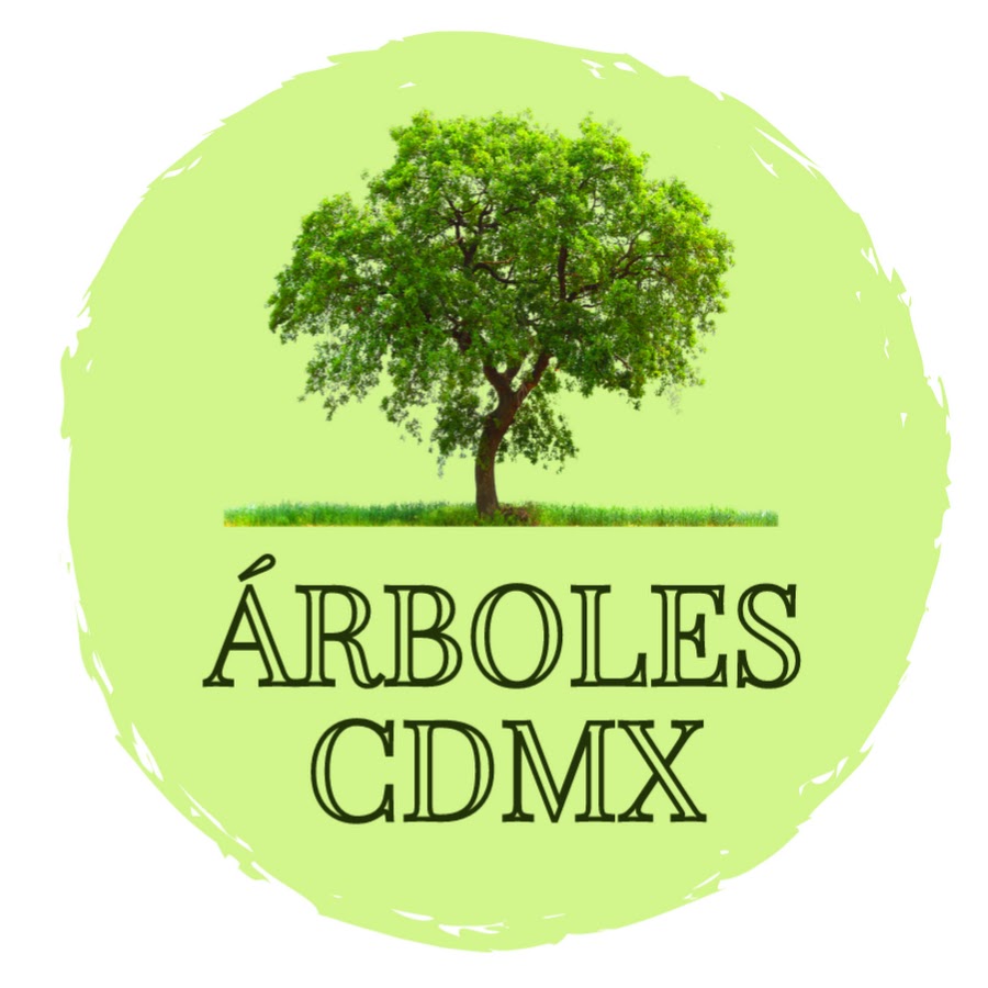 Árboles de la Ciudad de México - YouTube Árboles de la Ciudad de México