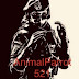 AnimalParrot521