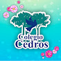 Colegio Cedros Villahermosa