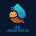 AE UNDERWATER