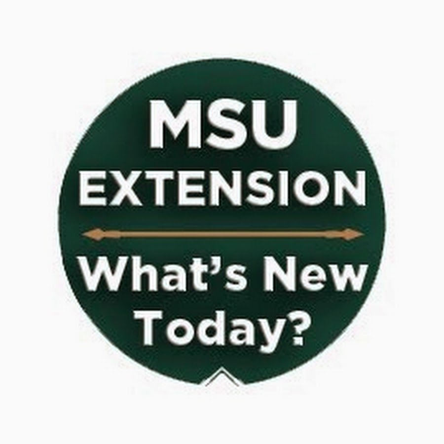 Ice safety tips - MSU Extension
