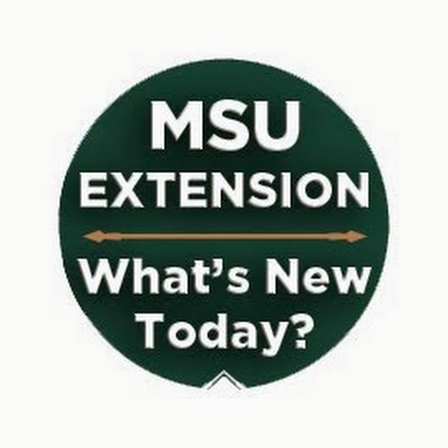 Ice safety tips - MSU Extension