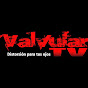 Valvular TV / Metal Uruguayo