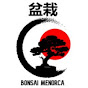 Bonsai Menorca