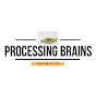 Processing Brains