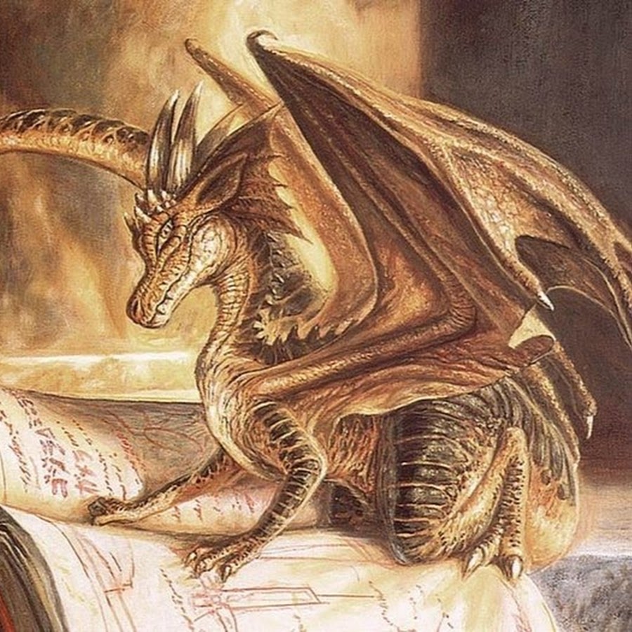 Over dragon. Книга дракона. Дракоша.