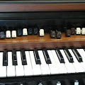 Artist Thumbnail