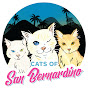 Cats Of San Bernardino youtube avatar