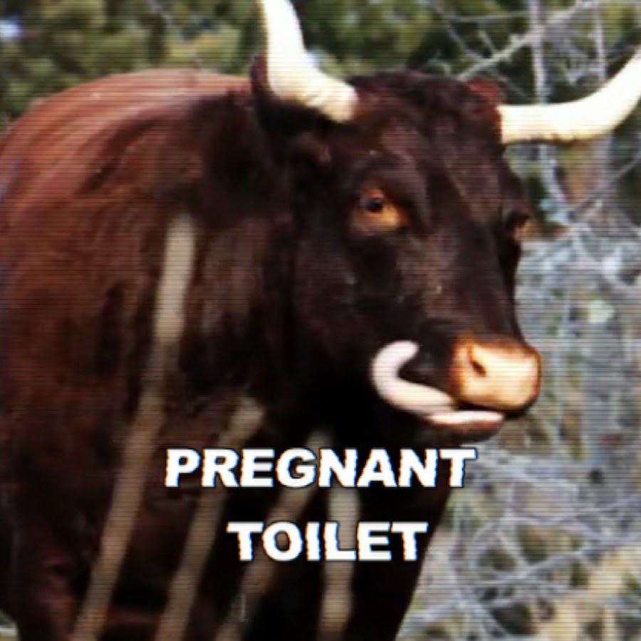 Pregnant Toilet