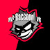 Xv_Raccoon_vX