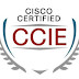 Michael O'Brien's CCIE Journey