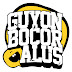 logo Guyon Bocor Alus