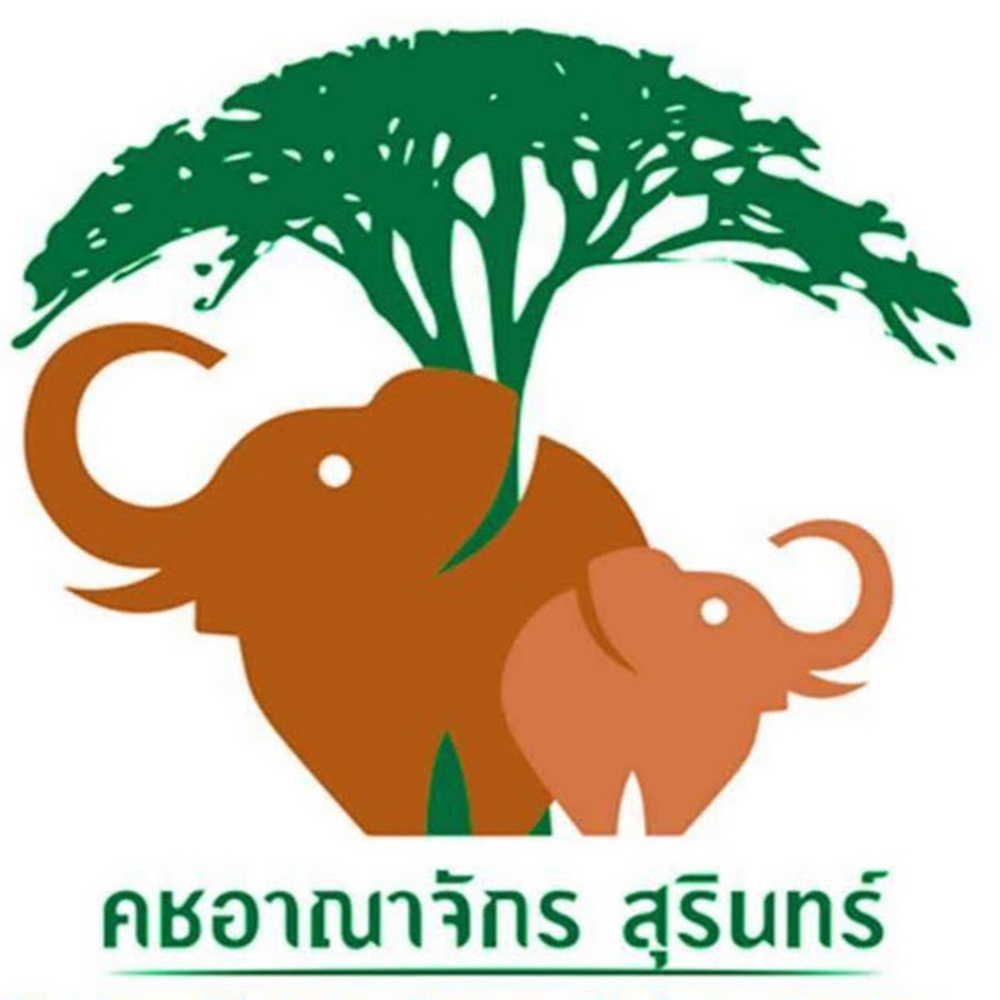 Elephant Kingdom Surin @elephantkingdomsurin