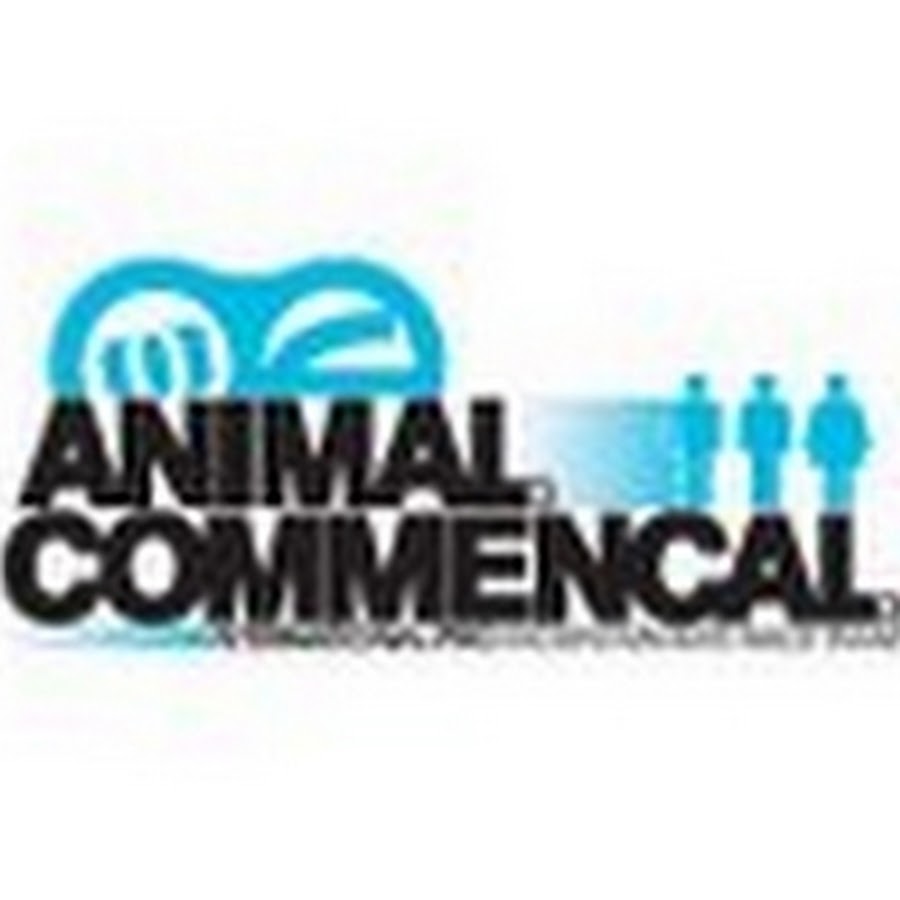 AnimalCommencal - YouTube AnimalCommencal