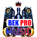 Artist Thumbnail