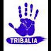 TribaliaProducciones