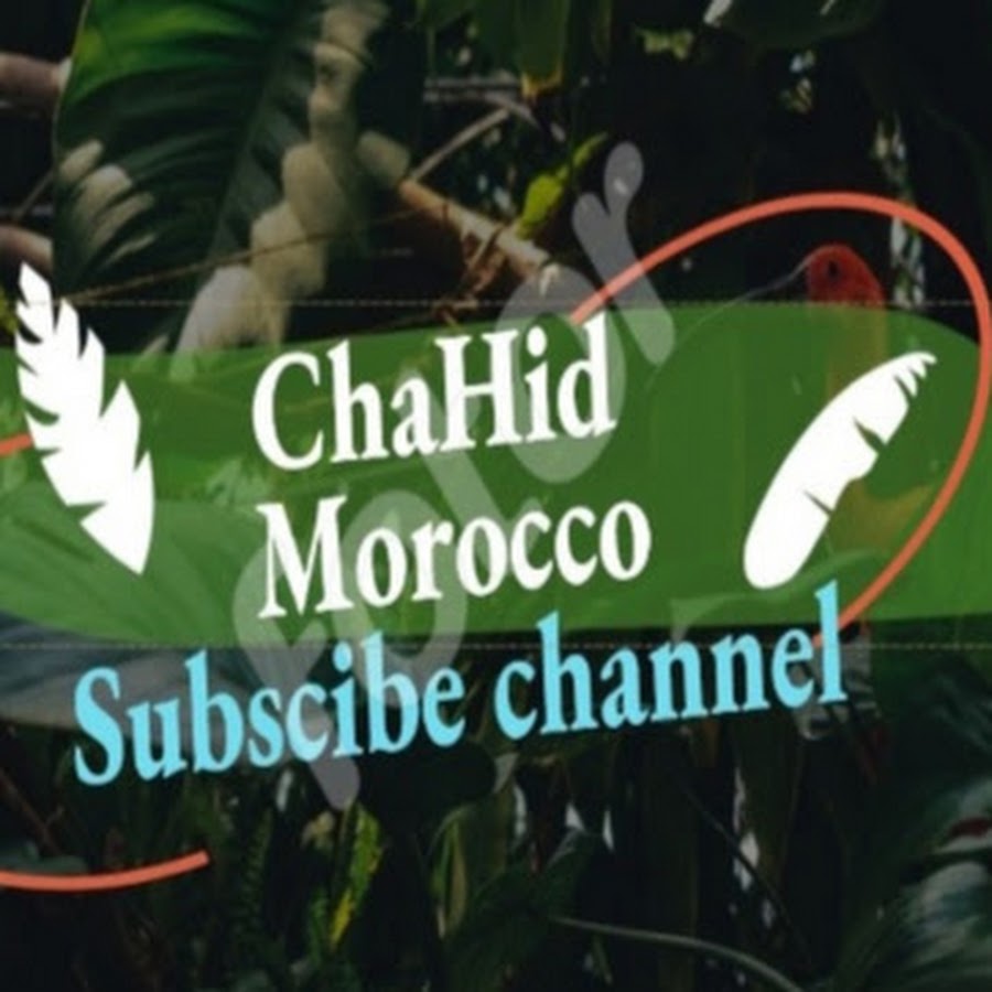 ChaHid Morocco @ChaHidMorocco