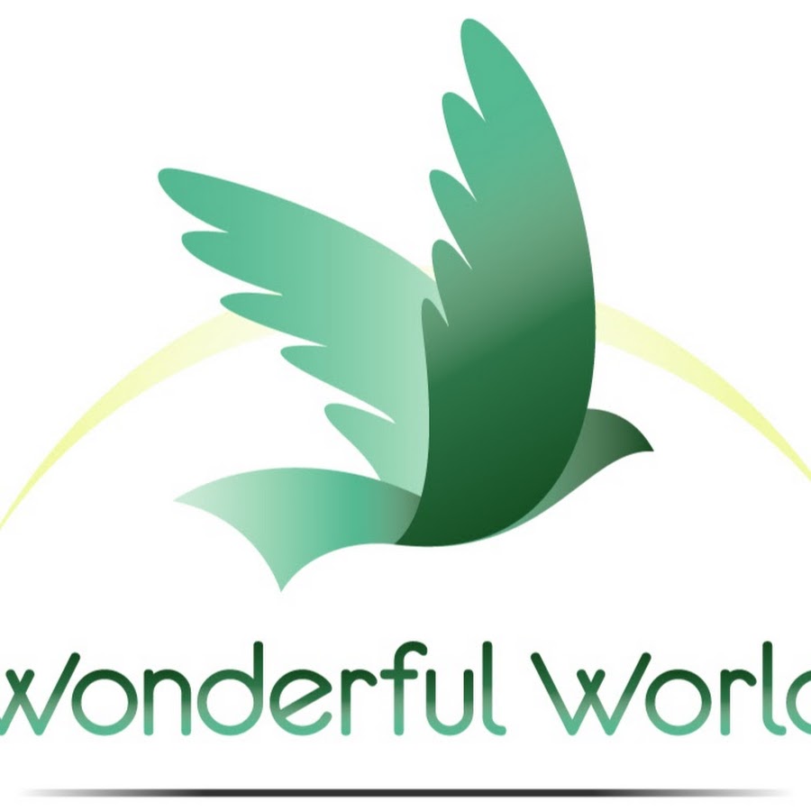 wonderful world travel inc opiniones