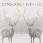 Denmark Winter