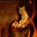 Artist Thumbnail