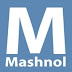 logo MASHNOL