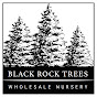 Black Rock Trees, LLC.