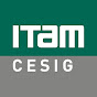 CESIG ITAM