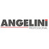 Angelini Professional