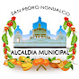 San Pedro Nonualco Oficial