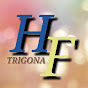 Hafifi Trigona